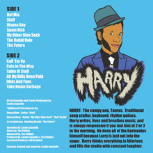 Load image into Gallery viewer, Landis Harry Larry - Harry {12" Vinyl + Digital Copy}