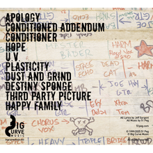 Load image into Gallery viewer, 51 Peg - Strange Appointments (2025 Remaster) {Multiple Formats)