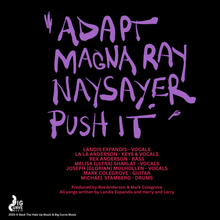 Load image into Gallery viewer, Landis Harry Larry - Live Action (EP) {Multiple Formats}