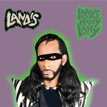 Load image into Gallery viewer, Landis Harry Larry - Landis (12" Vinyl + Digital Copy)
