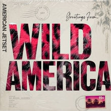 Load image into Gallery viewer, American Jetset - Wild America CD/T-Shirt Combo [PRE-ORDER]
