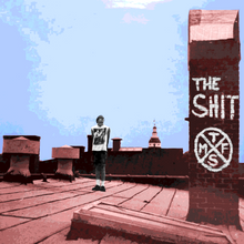 Load image into Gallery viewer, The Shit - The Shit
